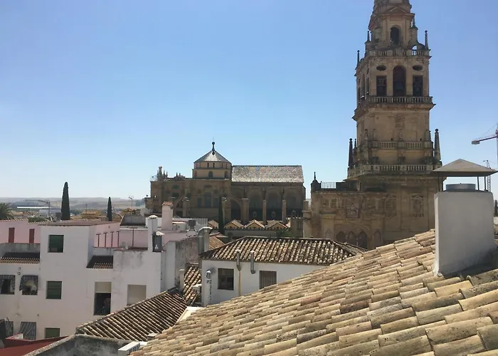 SunShine La Hoguera